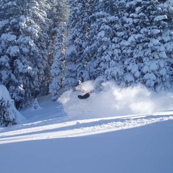 Sharp Mountain, PA Matt DiRenzo