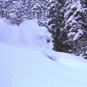 Single-Leg Depth Jump #3 None