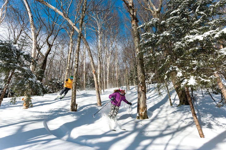 SKI1119-TRA-coSugarbush-JohnAtkinson_1 copy Young skier is zebra ski pants and purple jacket skiing through trees with additional skier in yellow jacket