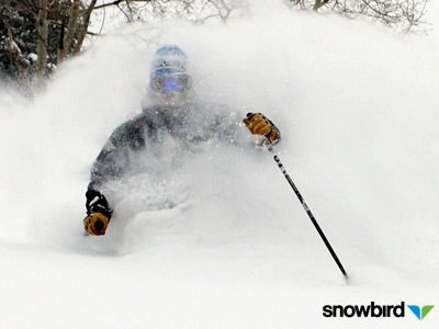 Snowbird, May 4 None