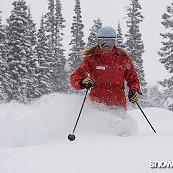 Snowbird, UT None