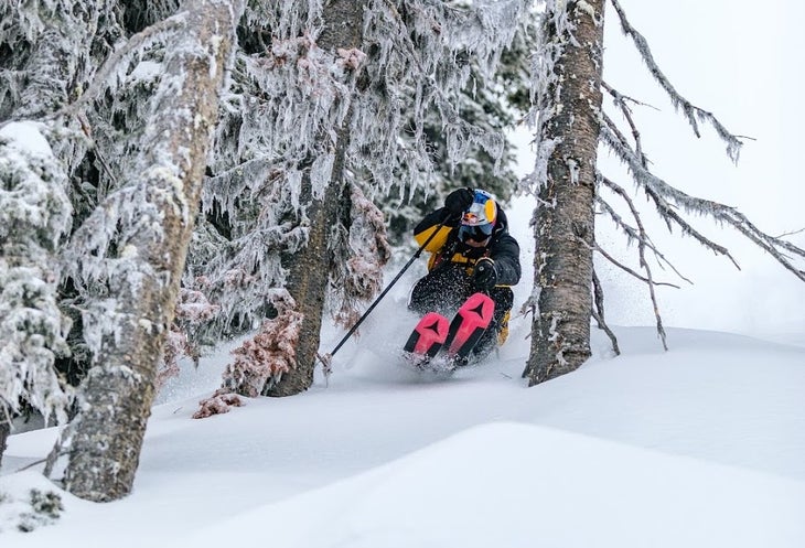 Daron Rahlves ducks through trees on skis