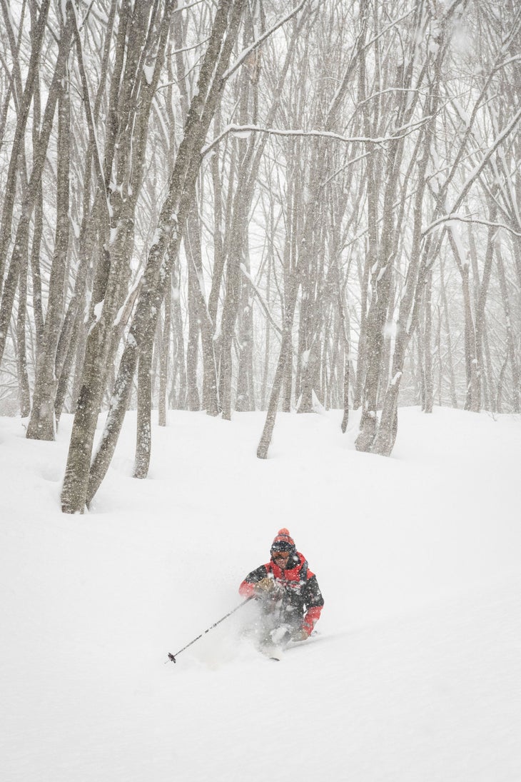 Skier in powder in Japanese trees