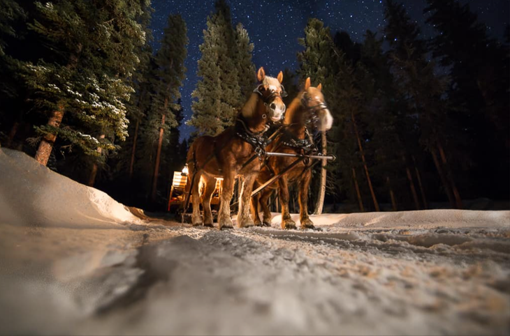Lone Mountain sleigh