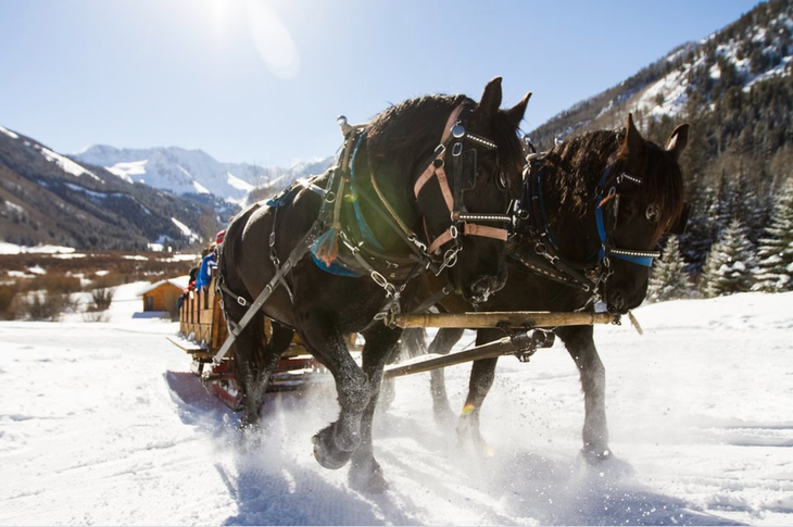 Pine Creek sleigh