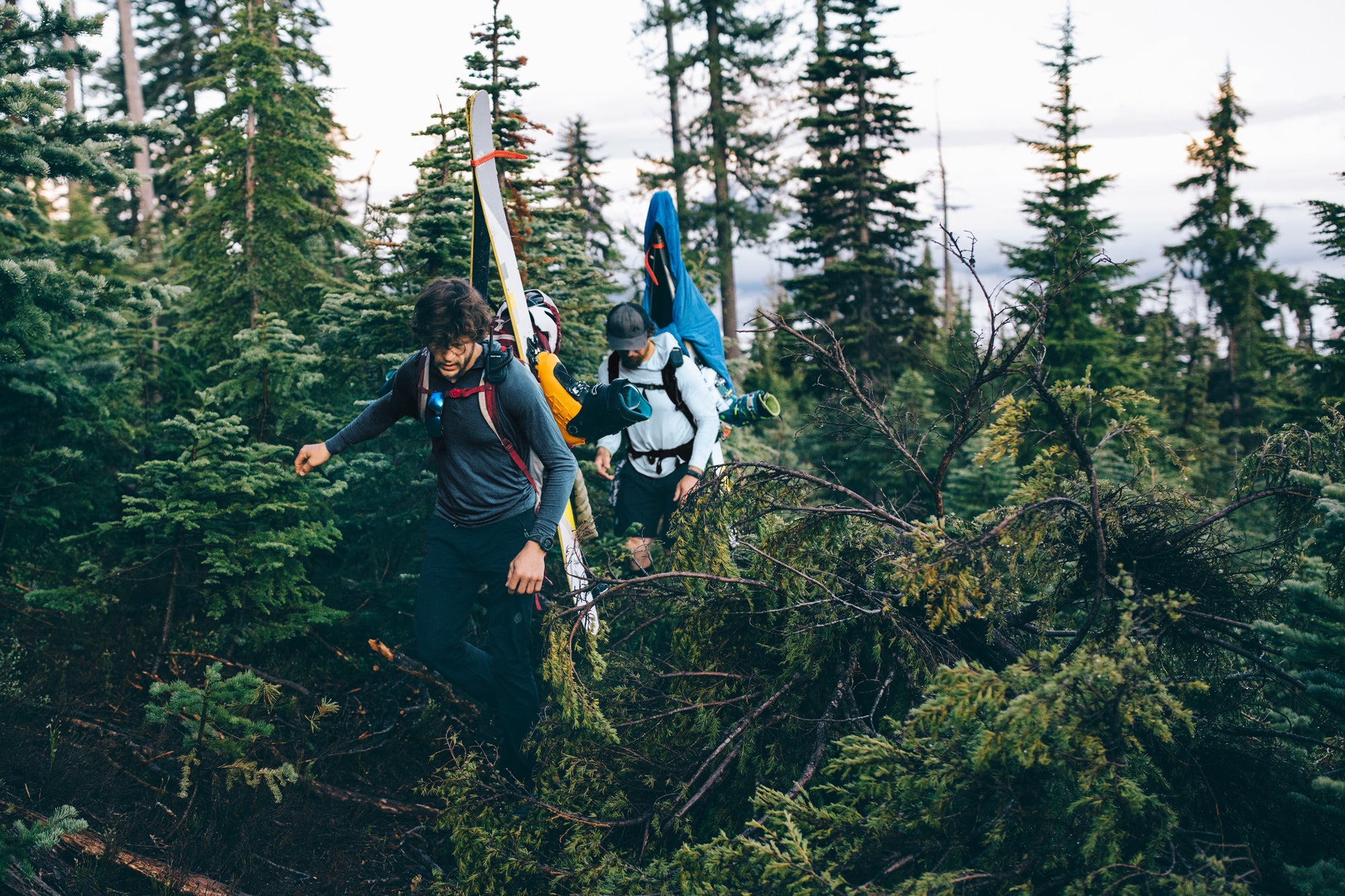 Skiers hiking through green trees