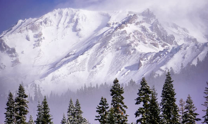 Shasta