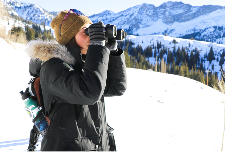 Alta birding
