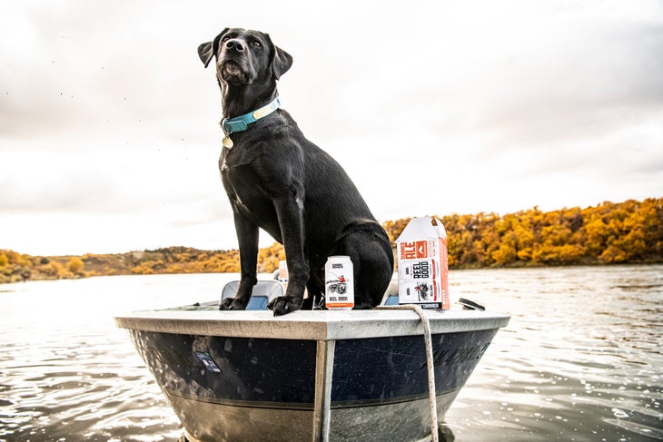 Dog on a boat with beer