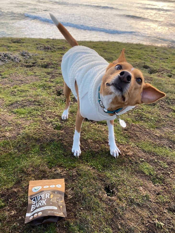 dog and super bark chocolate