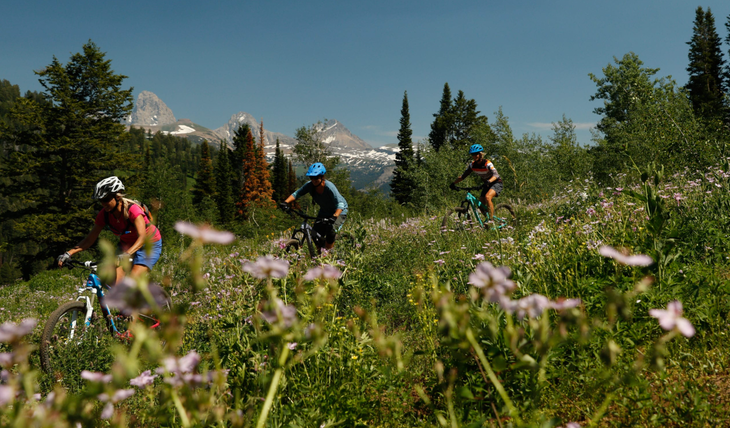 Grand Targhee Mountain Biking