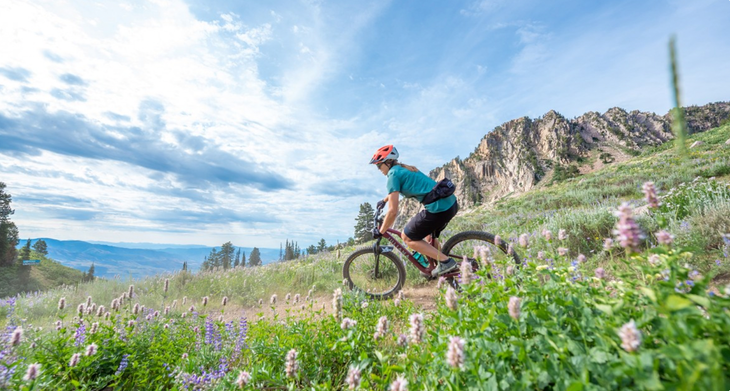 Snowbasin Mountain Biking