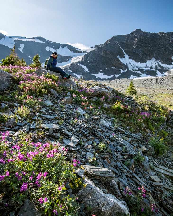CMH Bugaboos Summer