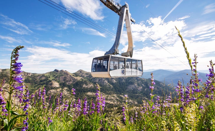 Squaw Tram Summer