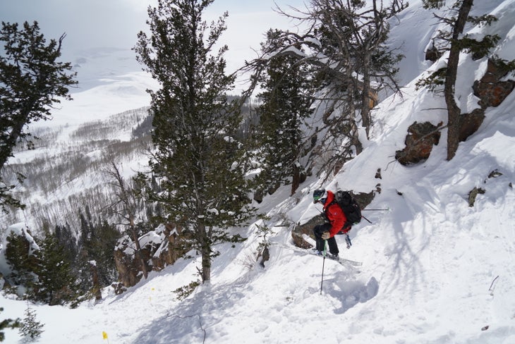 Bluebird Backcountry