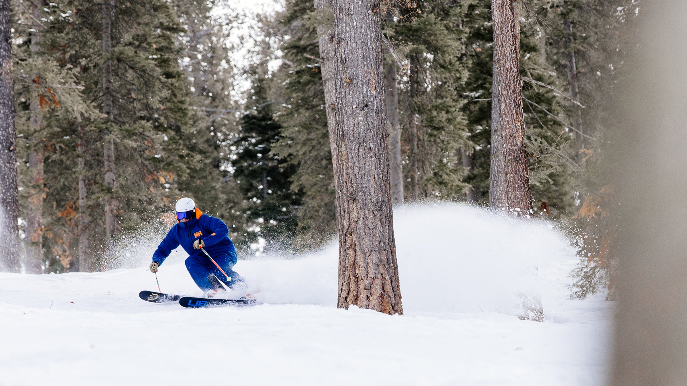 Ski tester SKI Test