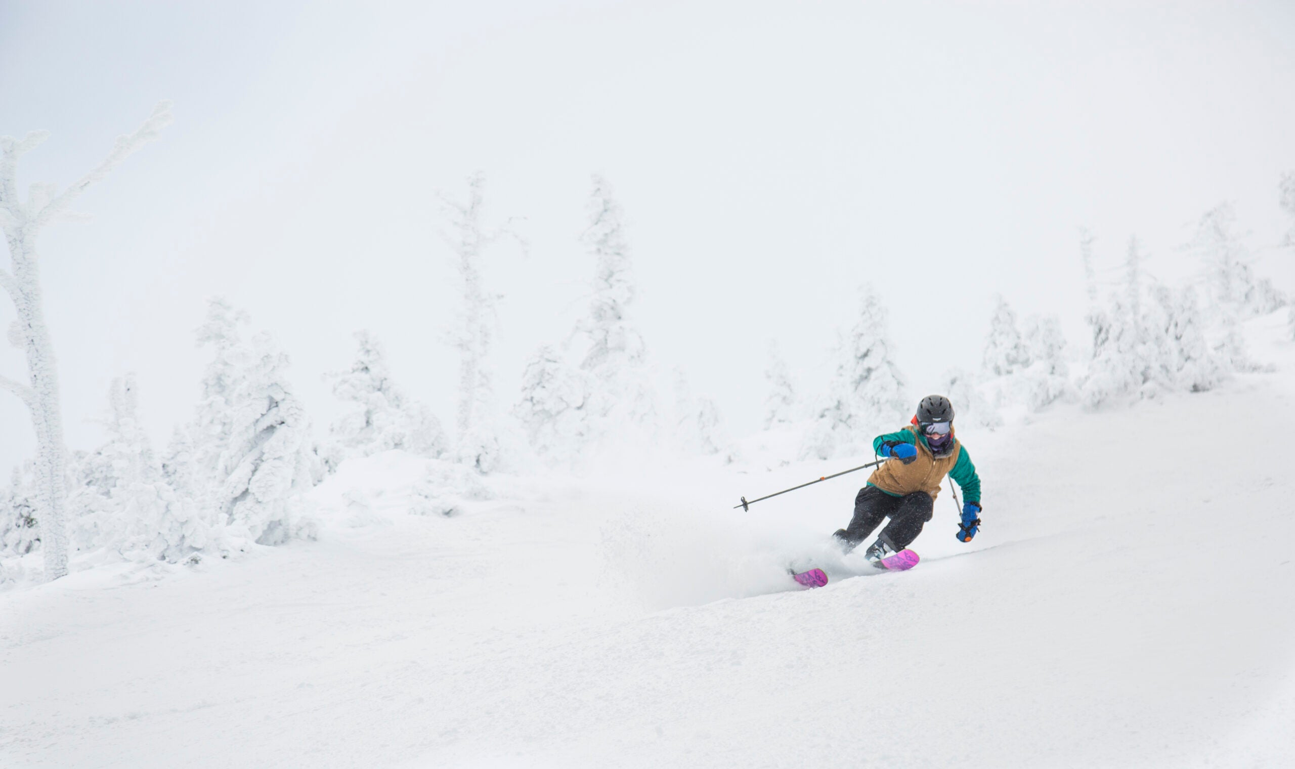 back brace for skiing