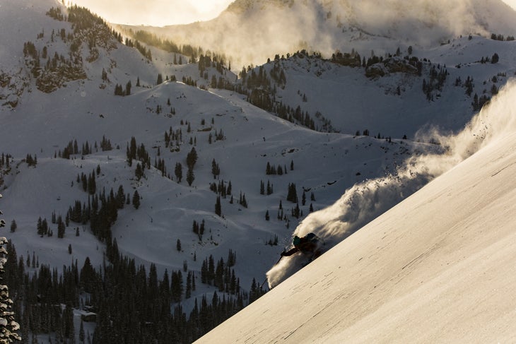 Alta Overall Satisfaction