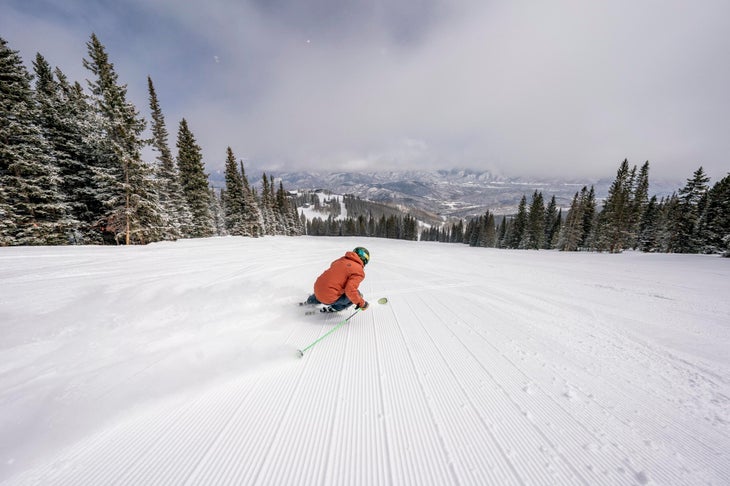 Aspen Grooming