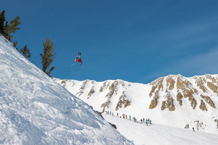 Big Sky Variety