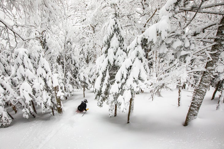 Sugarloaf Terrain Variety