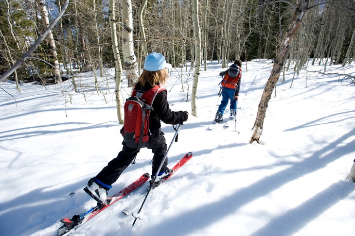Kids ski touring through the woods
