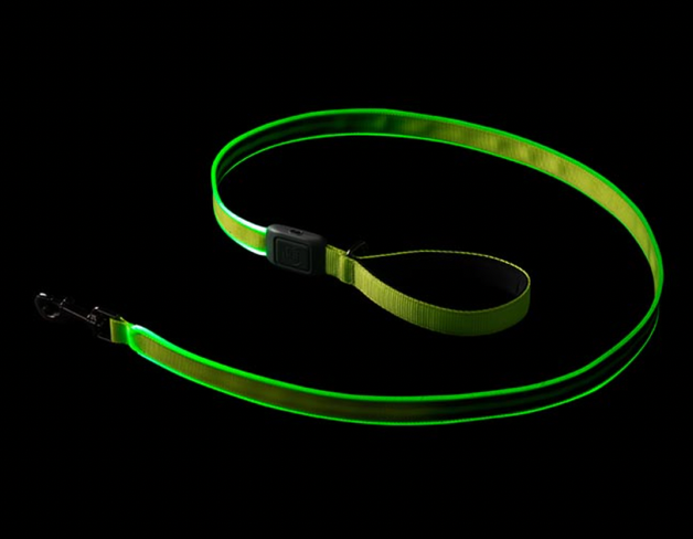 NiteDog leash