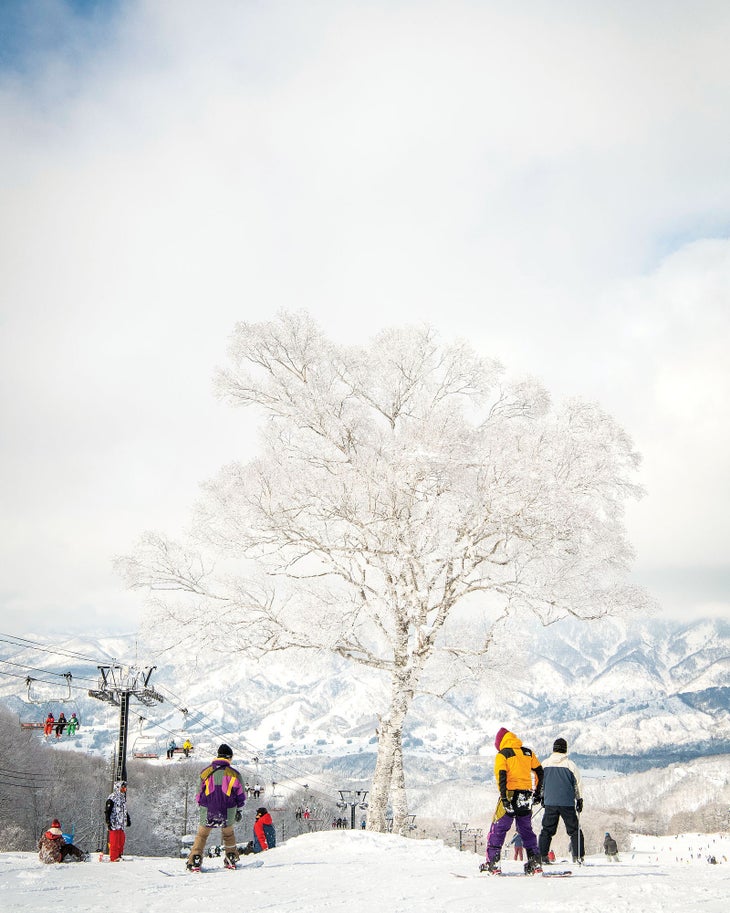 Skiing in Nagano, Japan