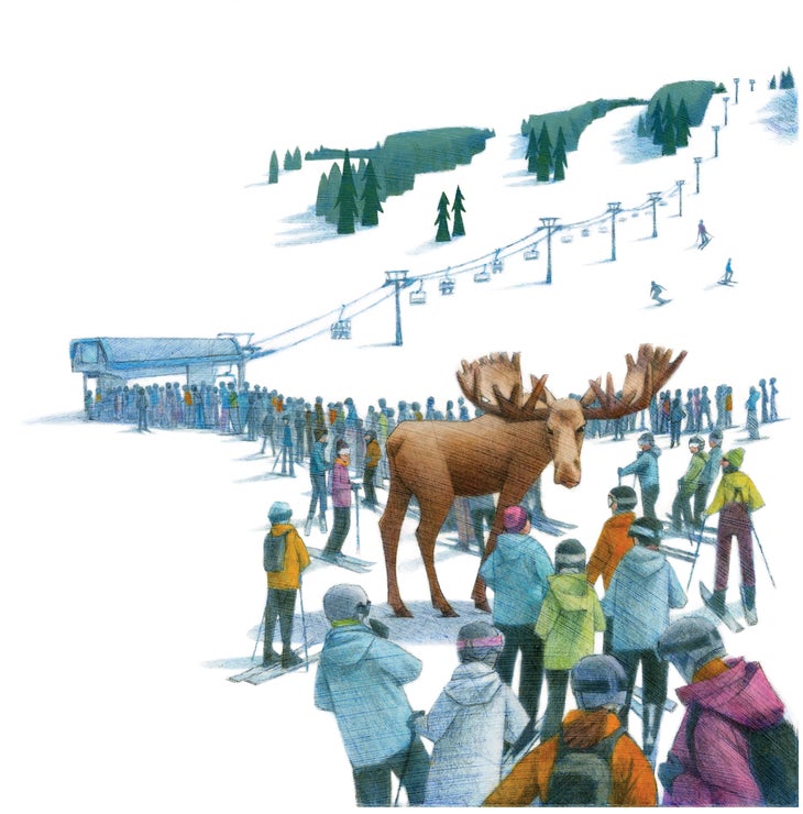 Ski Patrol feature moose