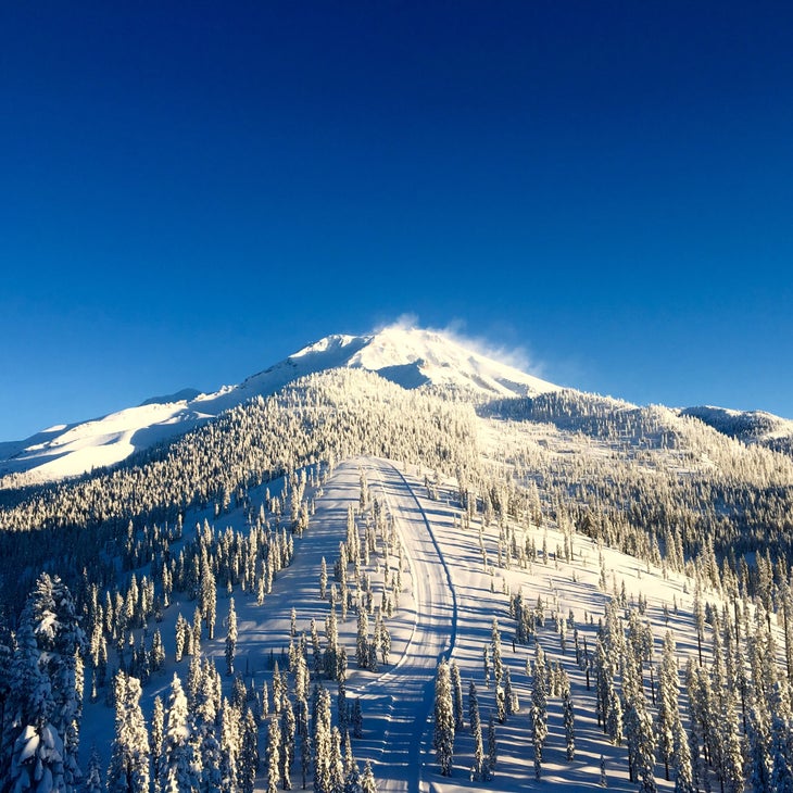 Mt. Shasta