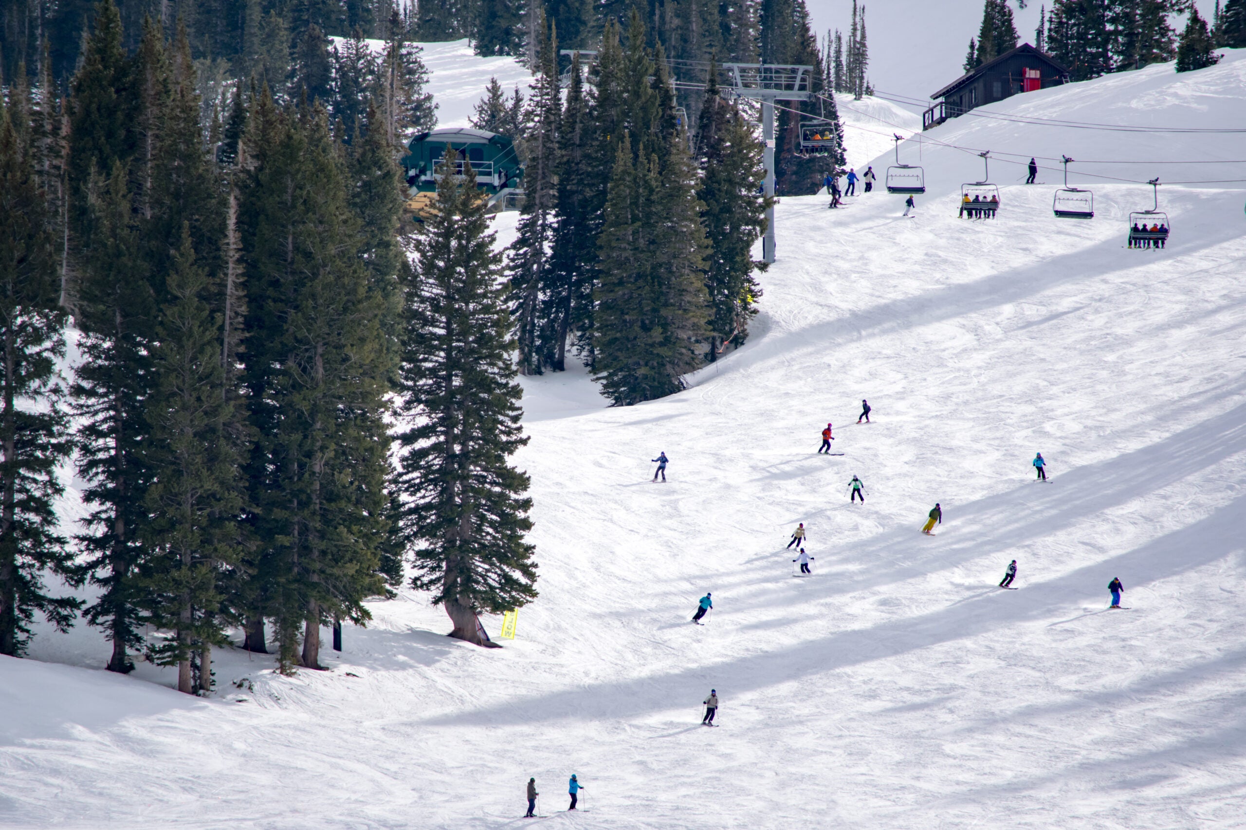 Alta ski slope