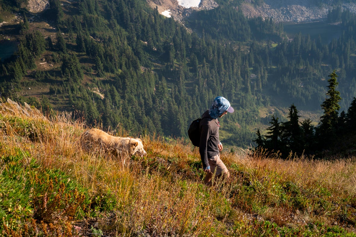 5-ski-resorts-for-dog-friendly-lift-assisted-hiking-ski-mag