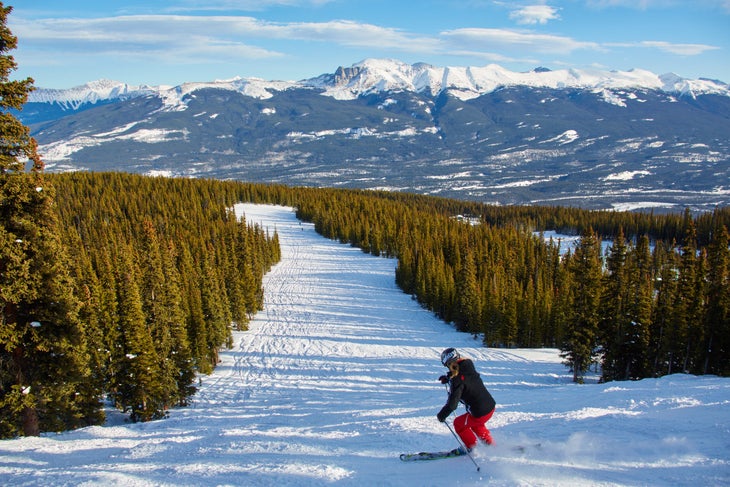 Marmot Basin