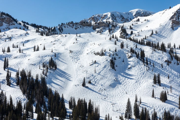 Alta Challenge RG23