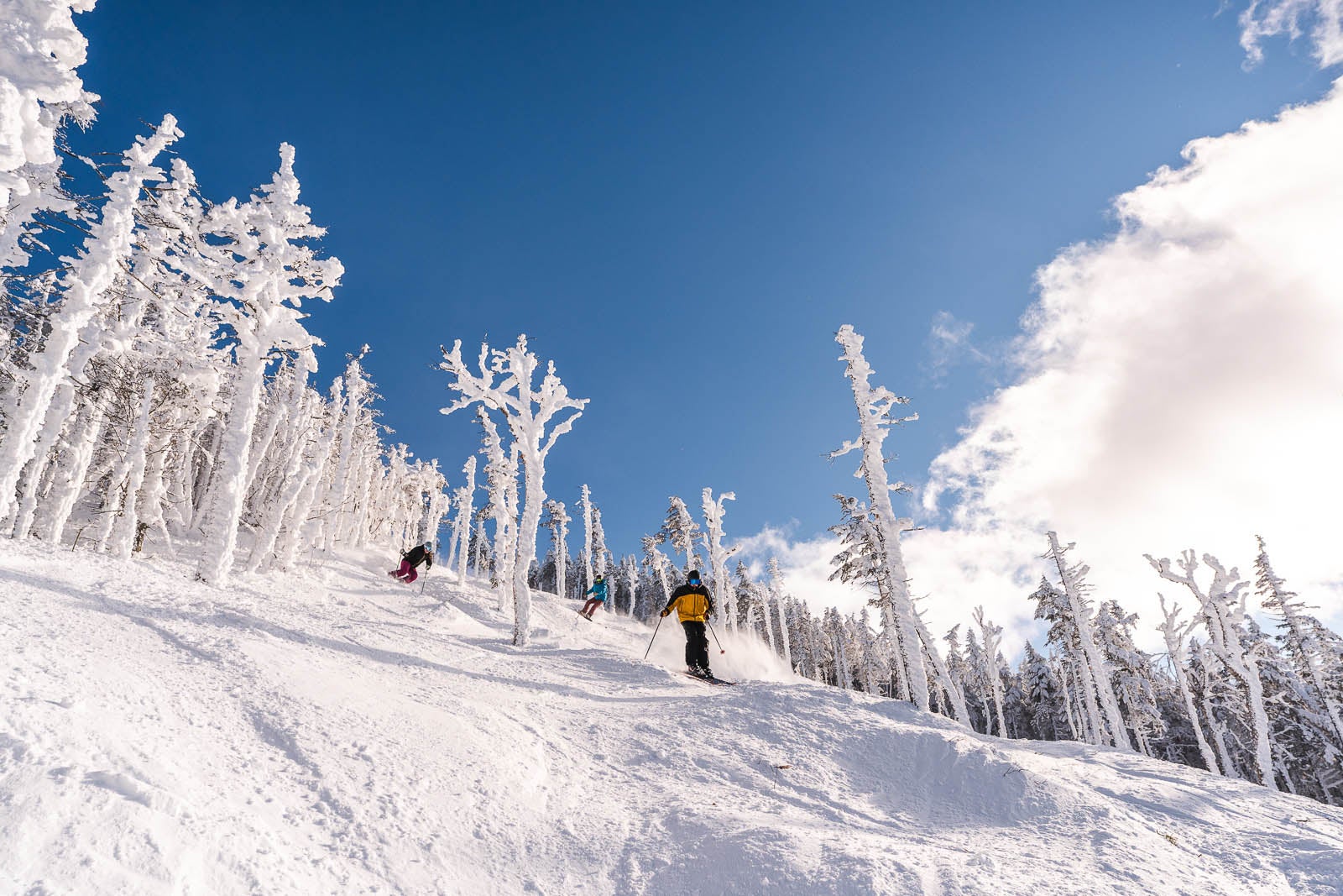 Skiers at Saddleback, Maine