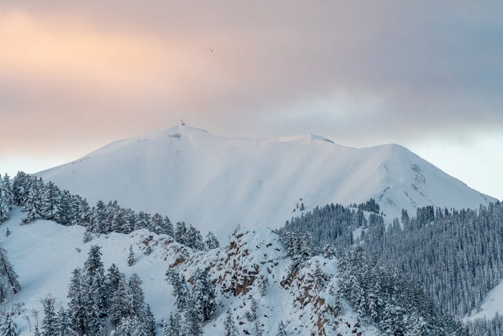 Aspen Terrain Variety RG23