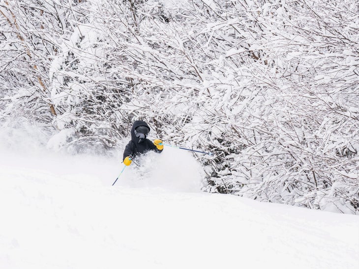 Powder skiing at Bretton Woods