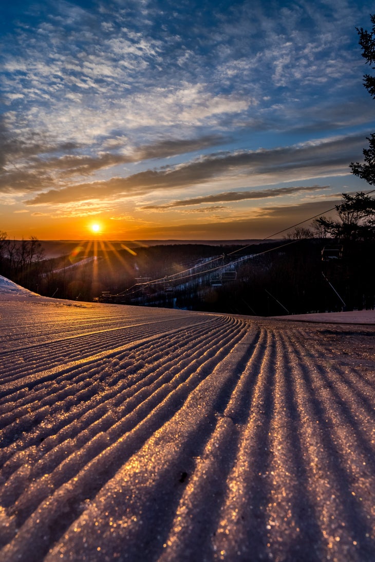 Holiday Valley Grooming RG23