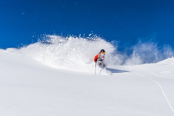 Snowbird Snow RG23