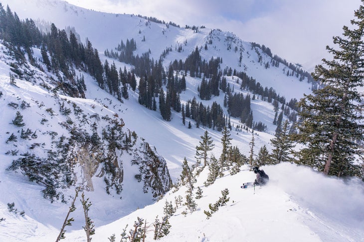 Snowbird RG23