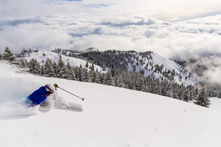 Sun Valley Satisfaction RG23