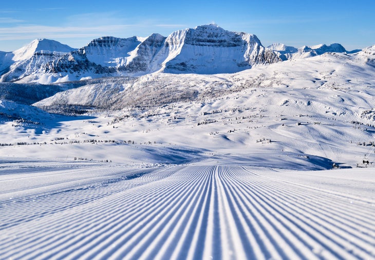 Banff Sunshine Grooming RG23