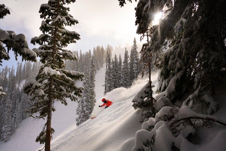 Telluride Terrain Variety RG23