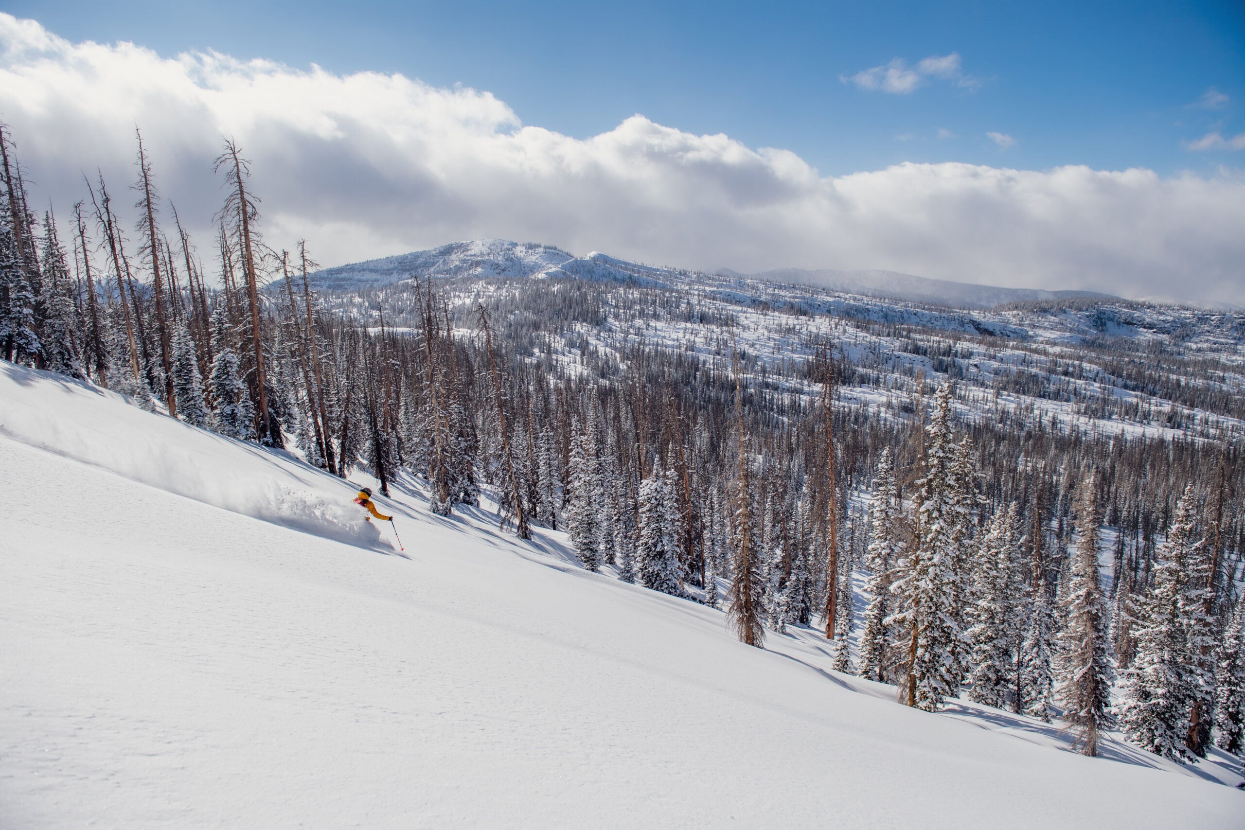 Castle Peak Yurt skiing