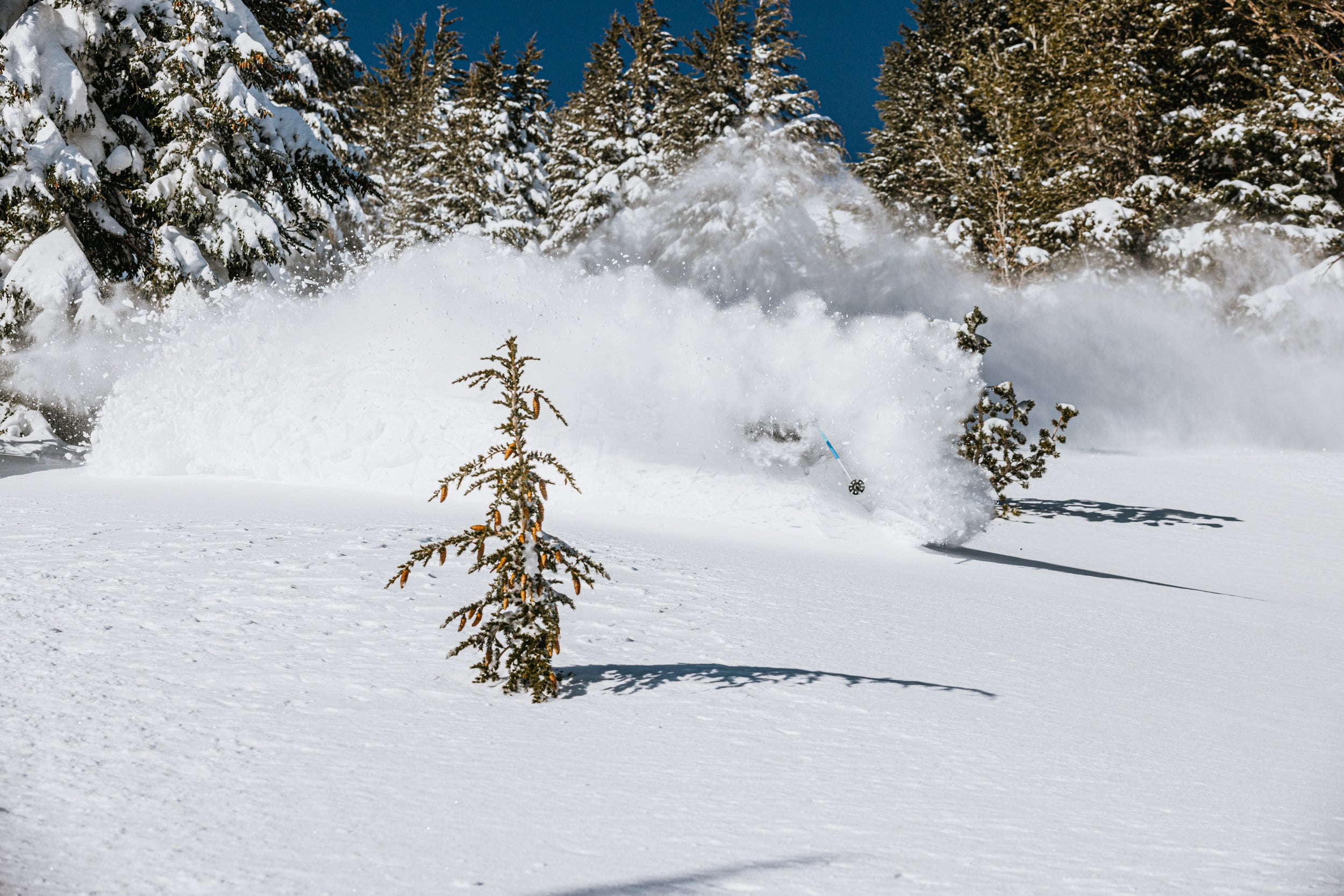 Mammoth spring powder