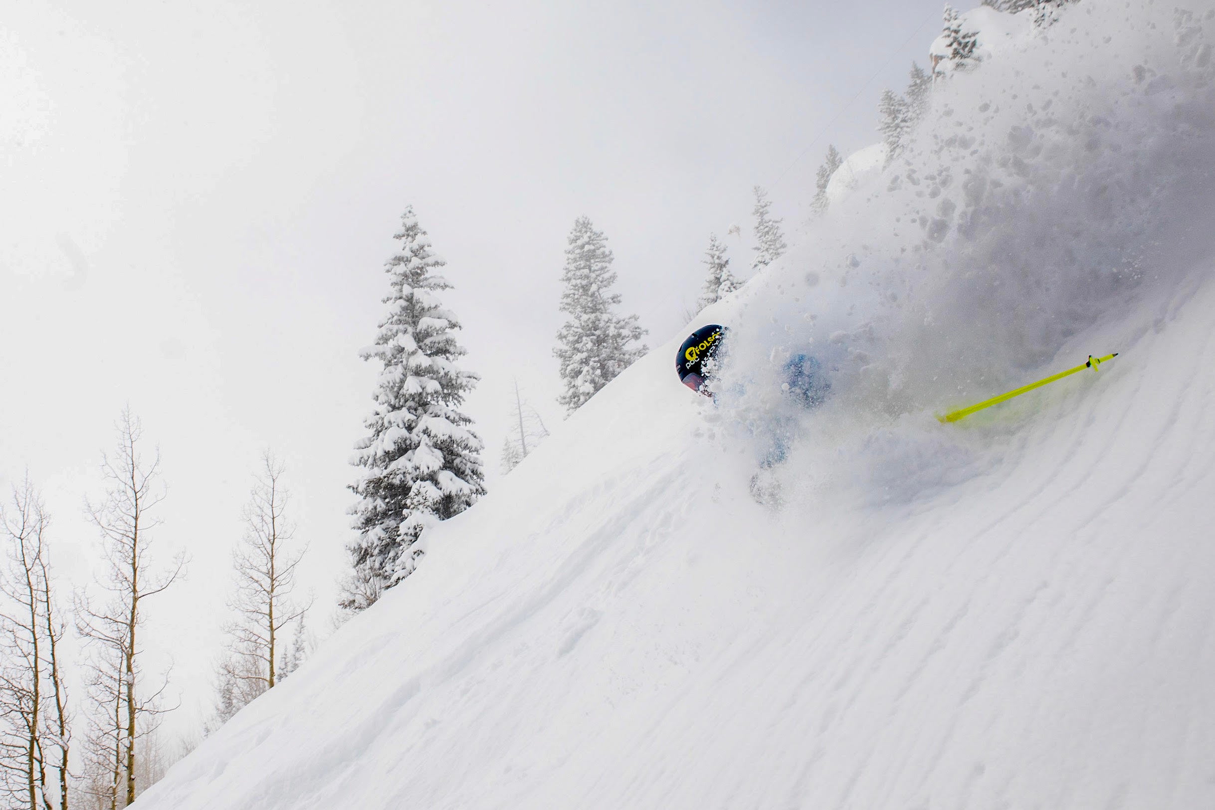 The author enjoys one of the best parts of the human experience.