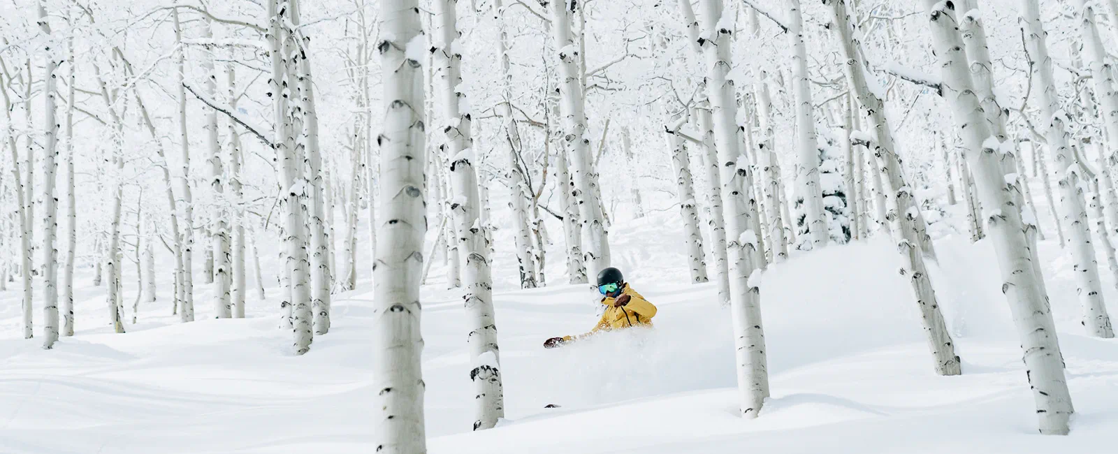 Skier heads through powder in Aspen