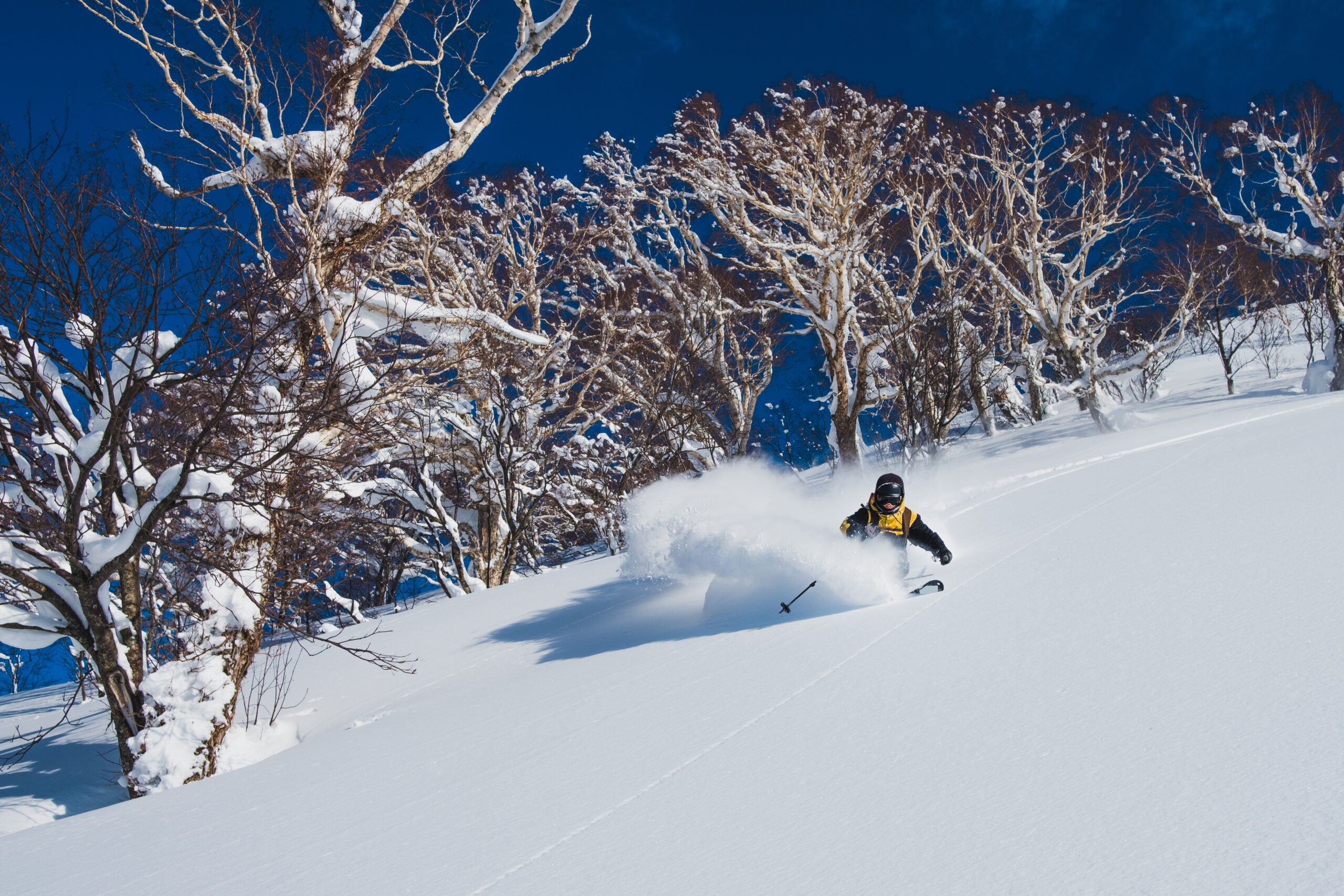 powder skiing Japan