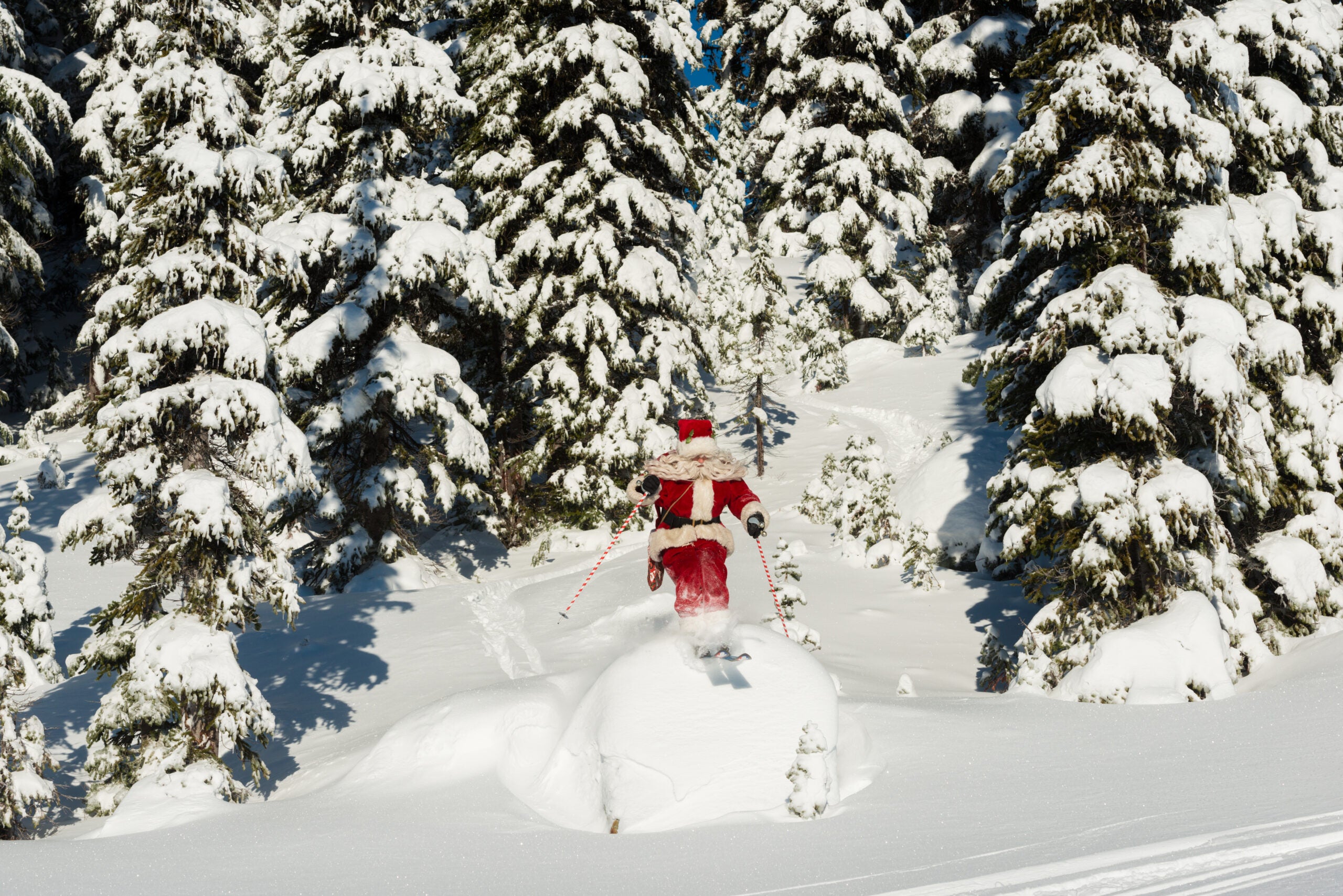 Skiing santa