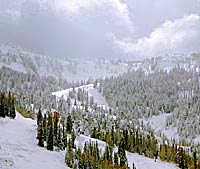 Crested Butte Comp None
